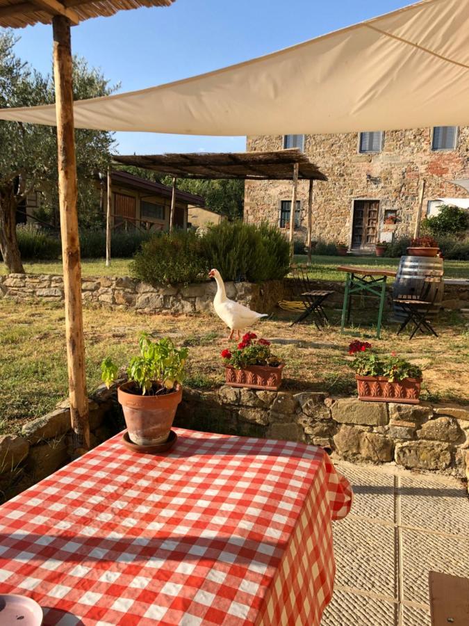 Agriturismo La Posta Reale 카스티글리온 피보치 외부 사진