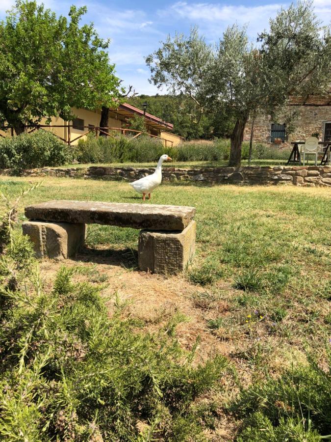 Agriturismo La Posta Reale 카스티글리온 피보치 외부 사진