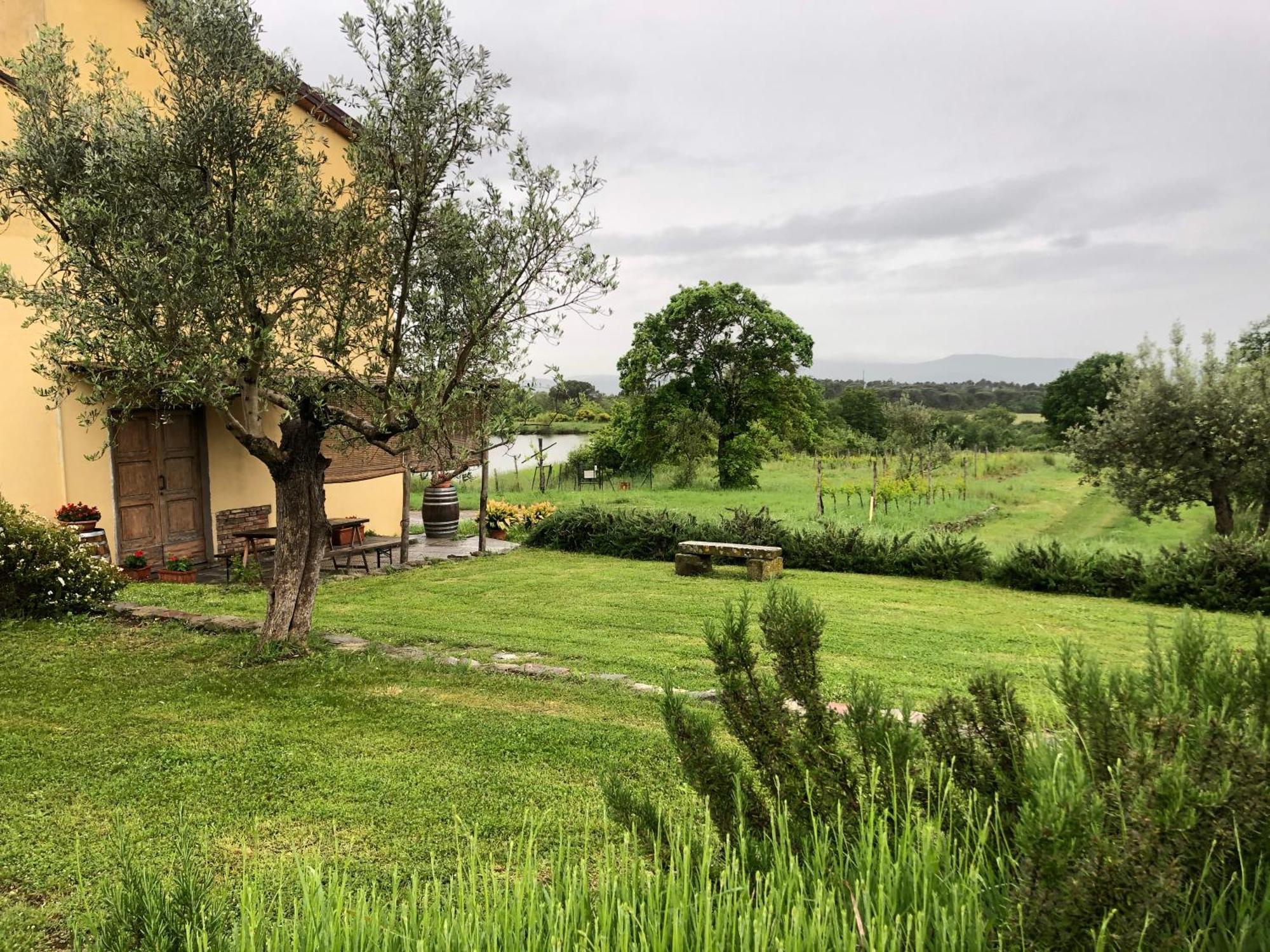 Agriturismo La Posta Reale 카스티글리온 피보치 외부 사진