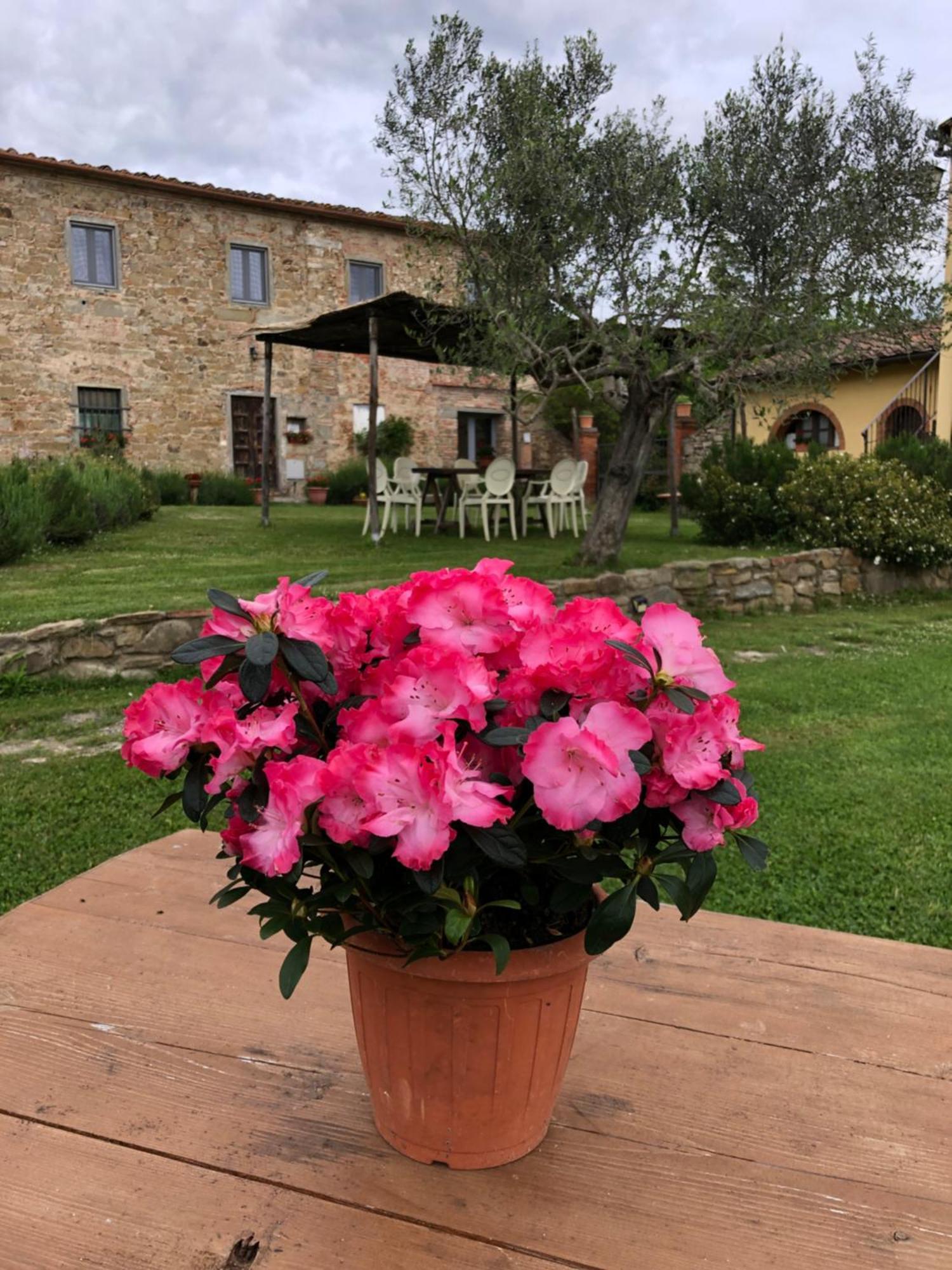 Agriturismo La Posta Reale 카스티글리온 피보치 외부 사진