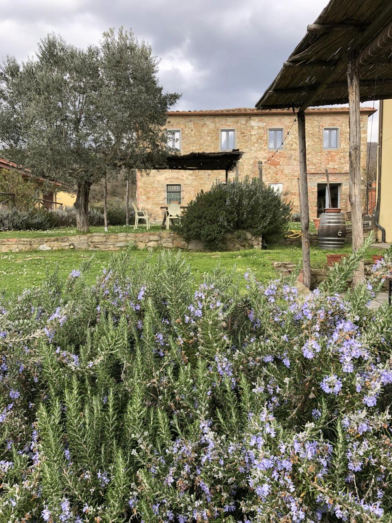 Agriturismo La Posta Reale 카스티글리온 피보치 외부 사진