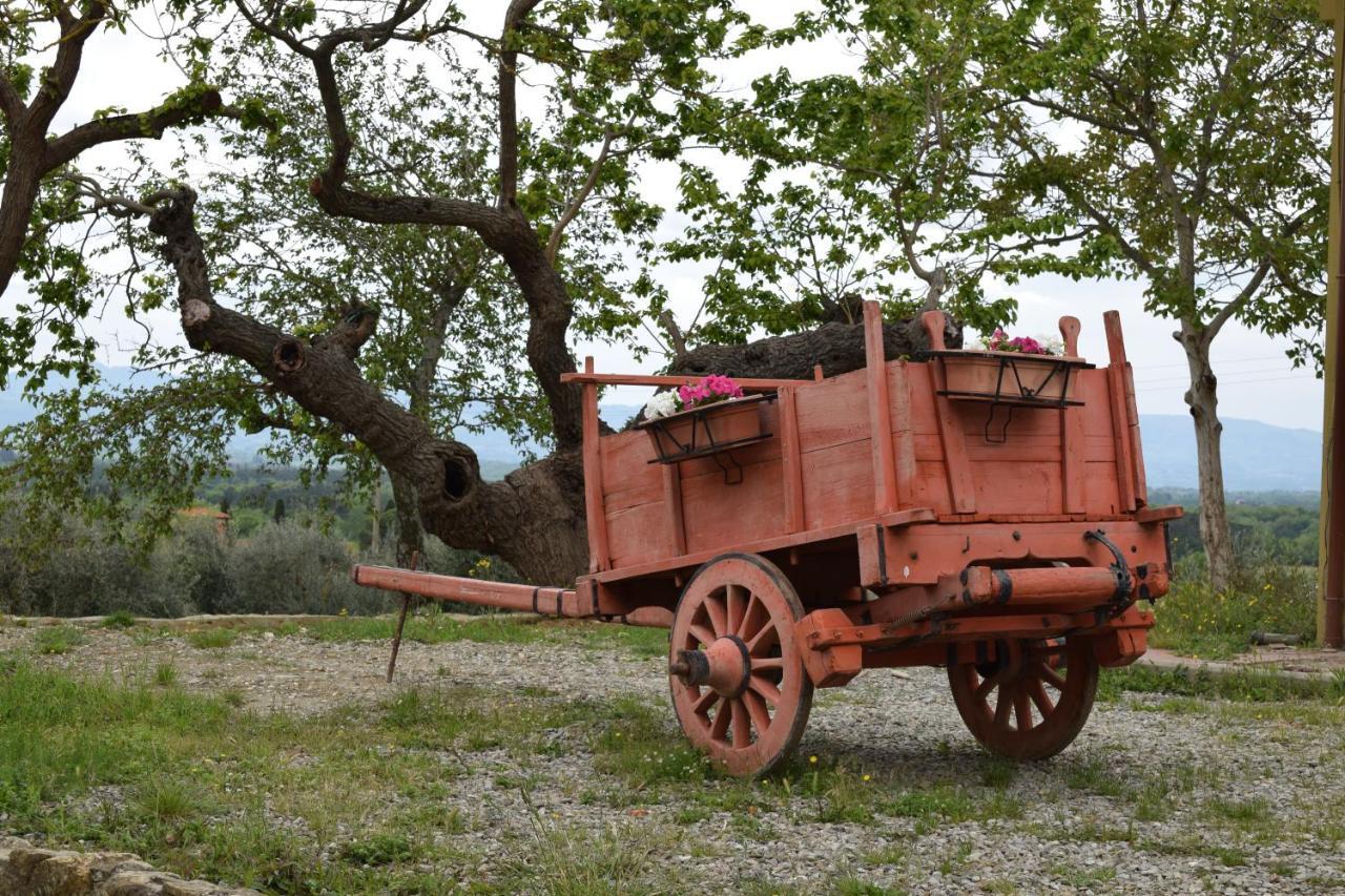 Agriturismo La Posta Reale 카스티글리온 피보치 외부 사진
